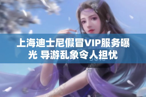 上海迪士尼假冒VIP服务曝光 导游乱象令人担忧