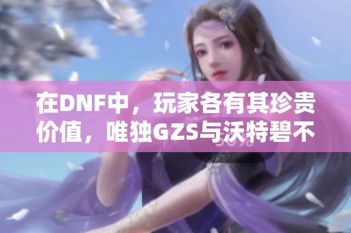 在DNF中，玩家各有其珍贵价值，唯独GZS与沃特碧不再重要