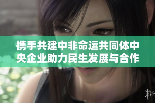 携手共建中非命运共同体中央企业助力民生发展与合作深化