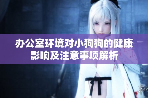 办公室环境对小狗狗的健康影响及注意事项解析